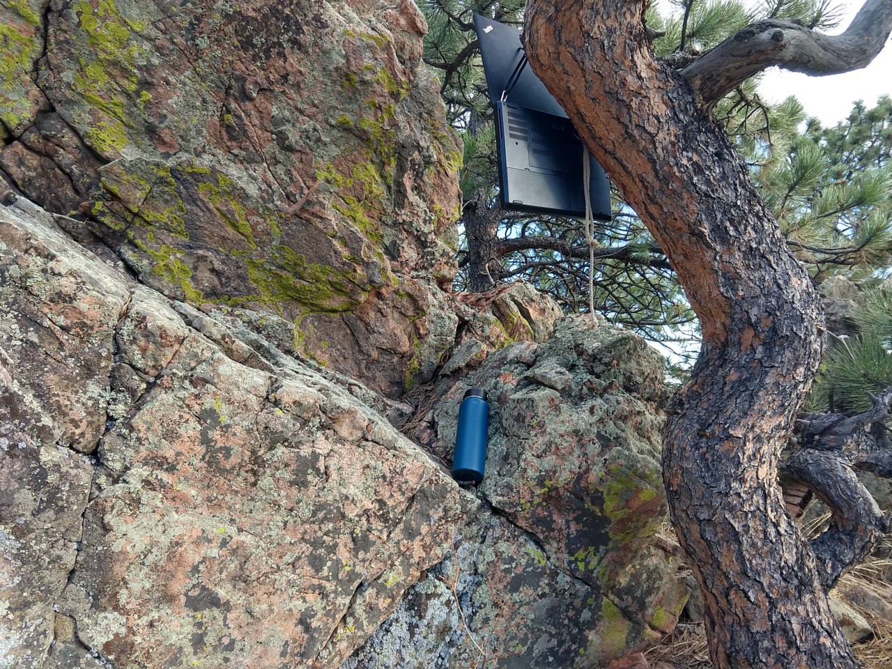 computer on tree next to rock seat