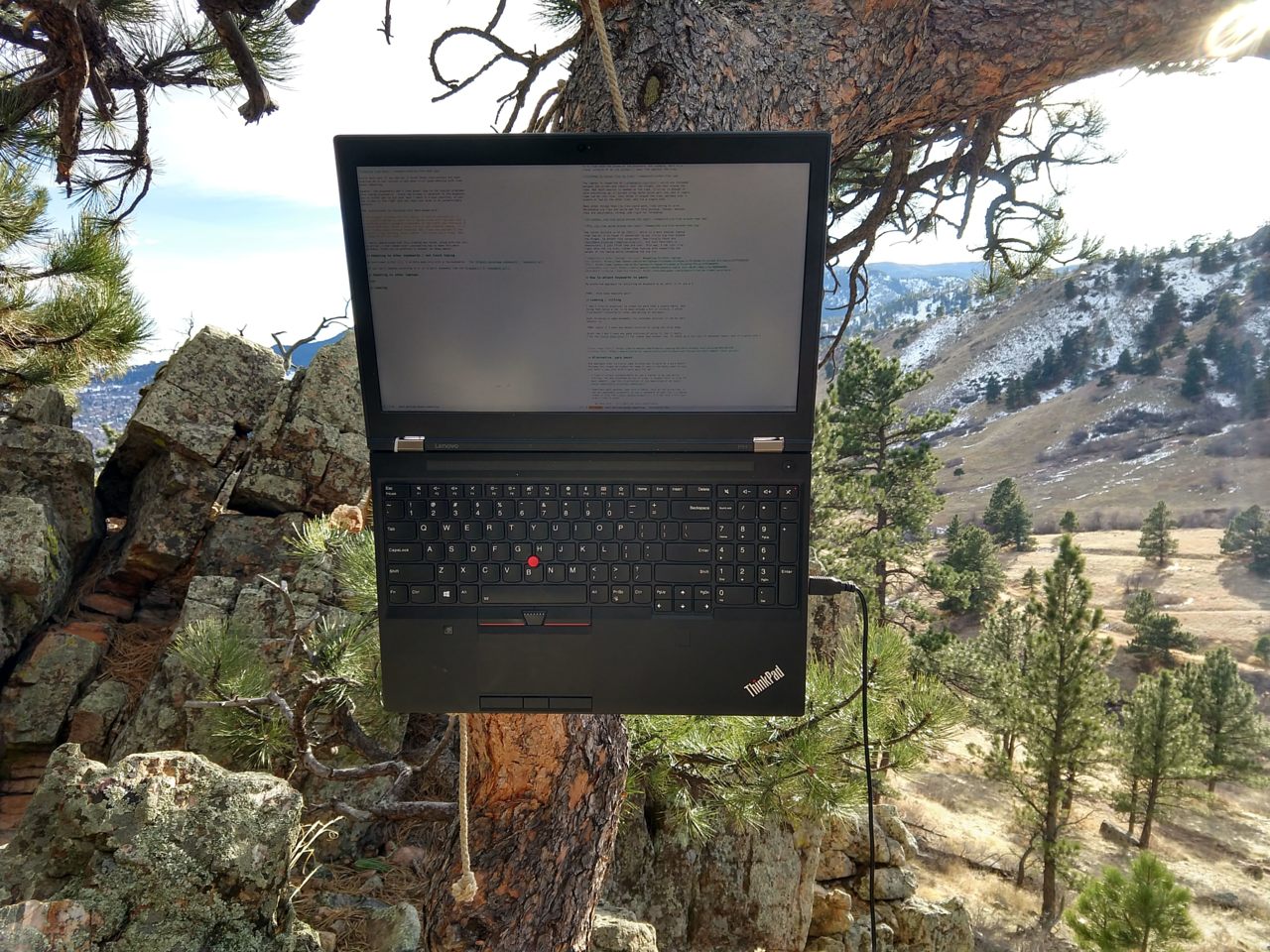 computer screen on tree next to rock seat