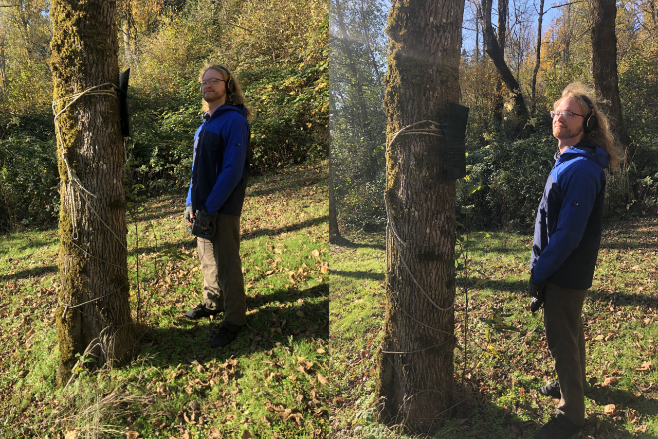 standing in and out of tree shadow