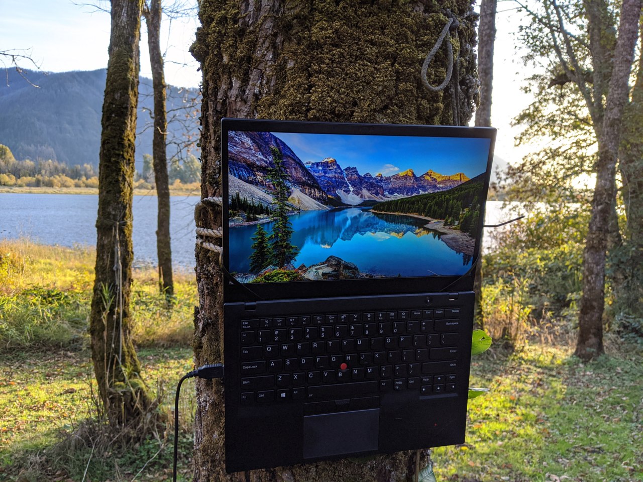 ThinkPad X1 Carbon flat on tree